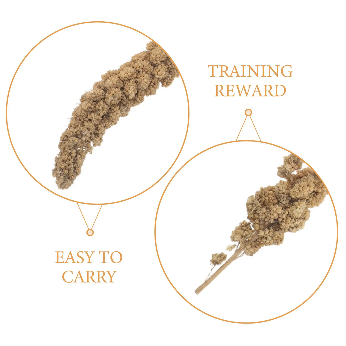 Spray Millet Treats for Small Birds, 500g