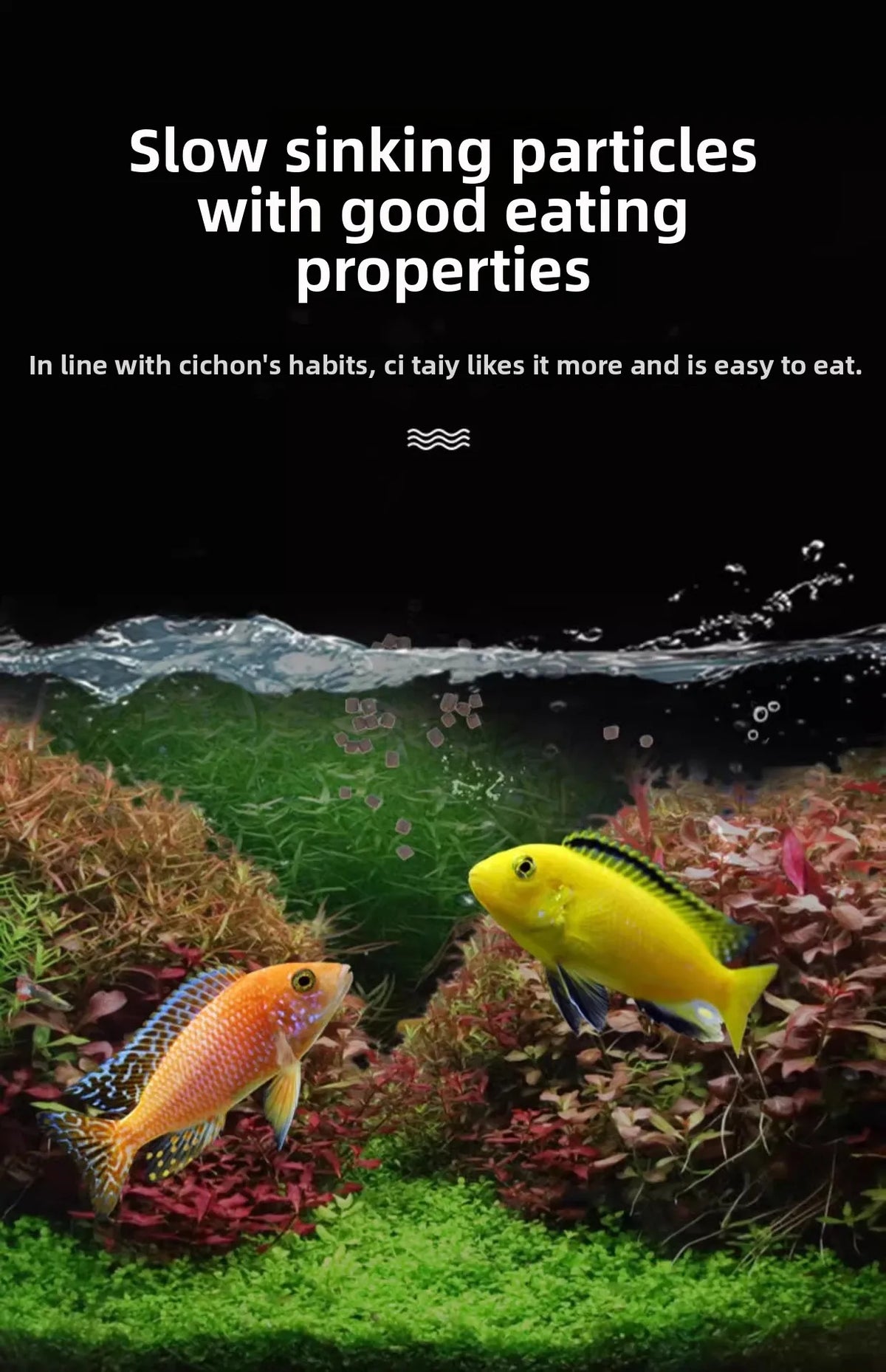 Slow-Sinking African Cichlid Pellets