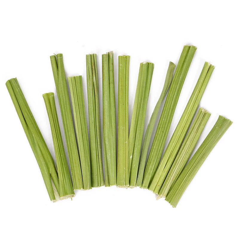 Papaya Chew Sticks for Small Pets, 20g