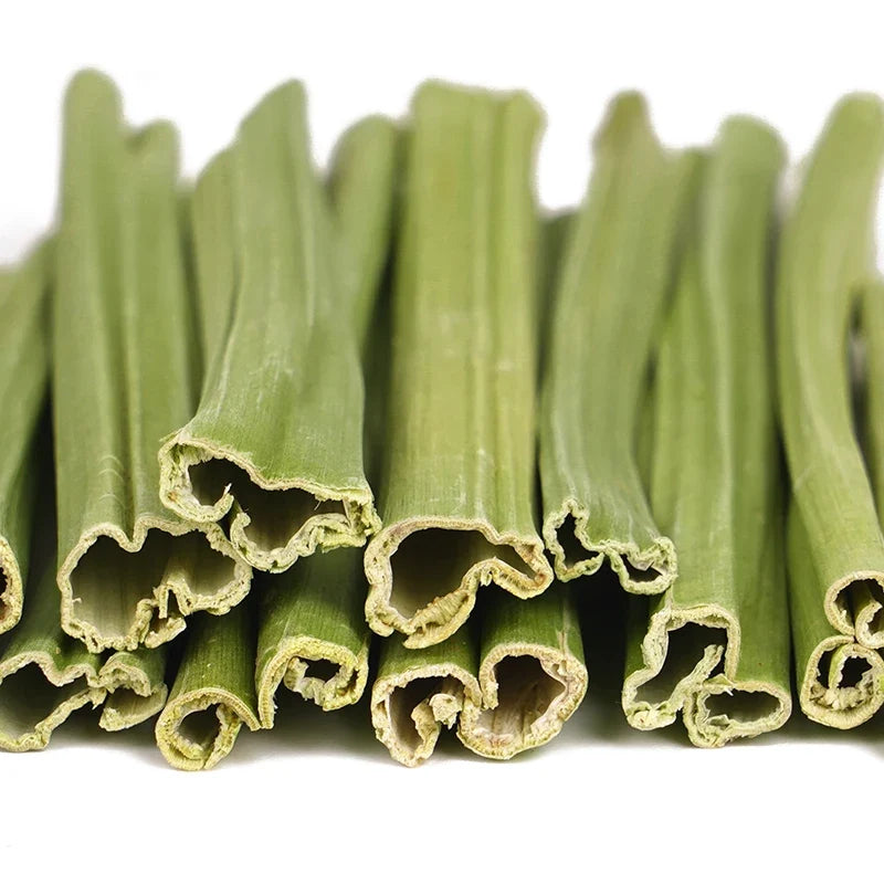 Papaya Chew Sticks for Small Pets, 20g