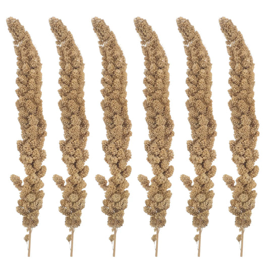 Spray Millet Treats for Small Birds, 500g