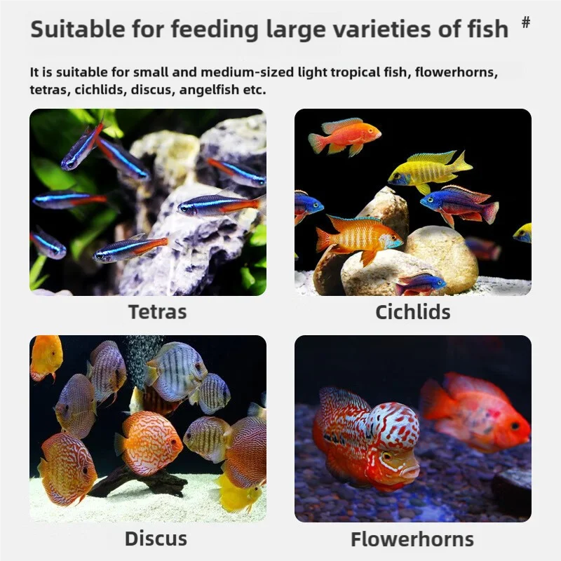 Freeze-Dried Tubifex Worms, 44g