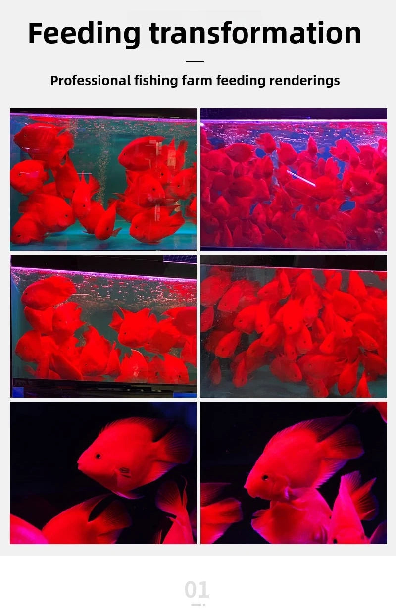 Color-Enhancing Cichlid Pellets