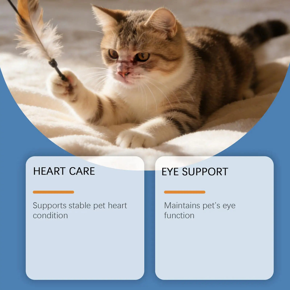 Daily Nutrition Powder for Cats, 200g