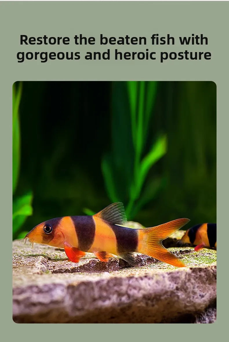 Sinking Pellets for Plecos and Bottom Feeders, 215g