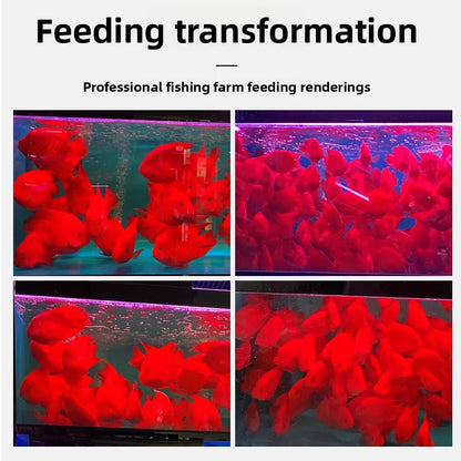 Color-Enhancing Cichlid Pellets