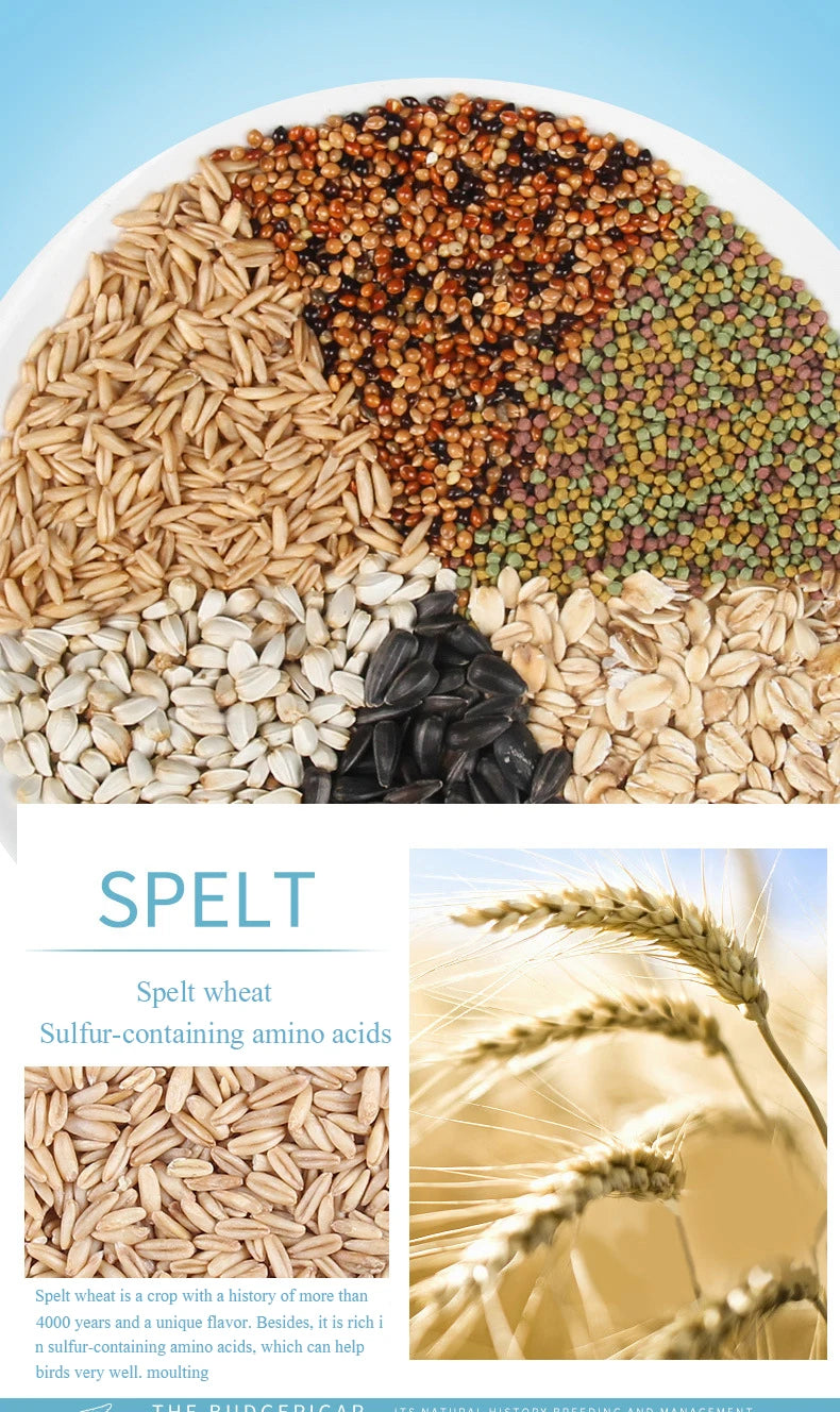 Sunflower and Spelt Parrot Seed Mix
