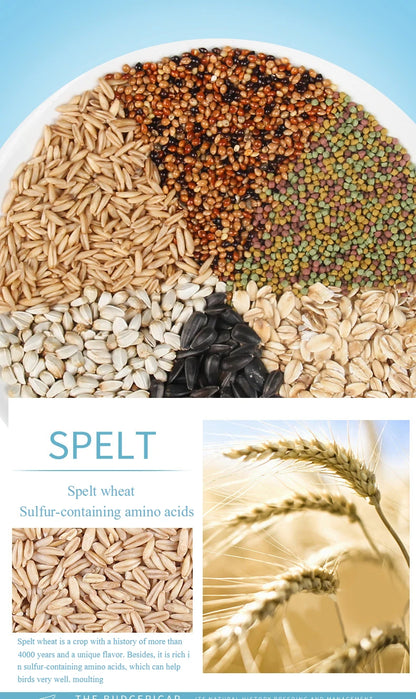 Sunflower and Spelt Parrot Seed Mix