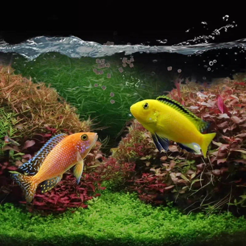 Slow-Sinking African Cichlid Pellets