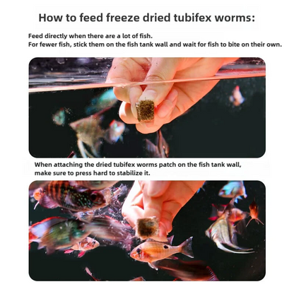 Freeze-Dried Tubifex Worms, 44g