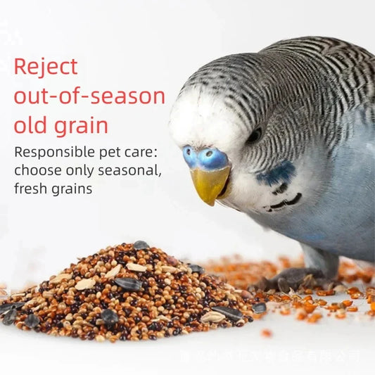 Mixed Seed Food for Parrots and Parakeets, 800g