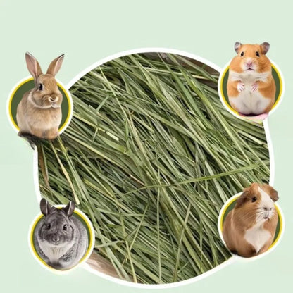 Dried Timothy Hay, 500g