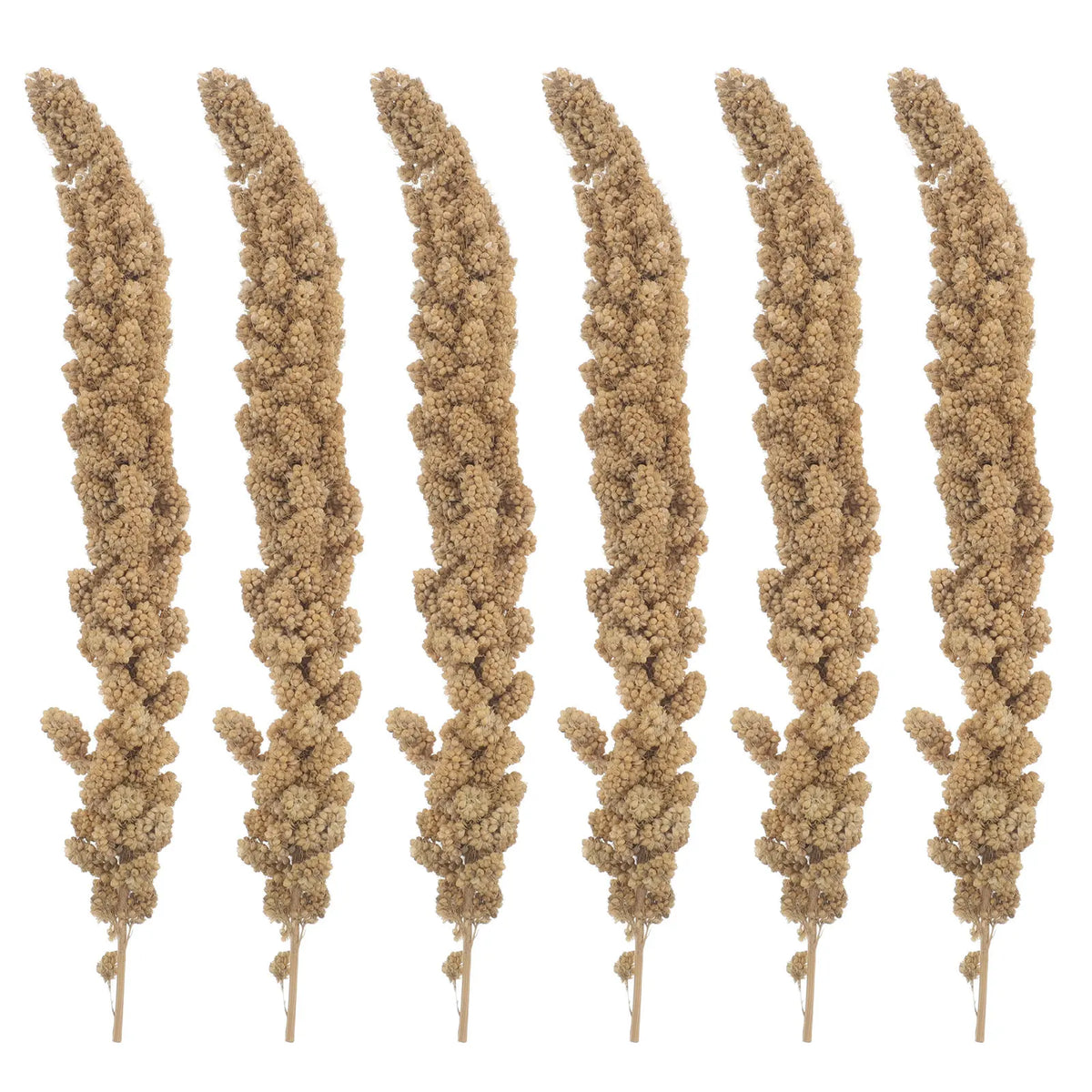 Spray Millet Treats for Small Birds, 500g