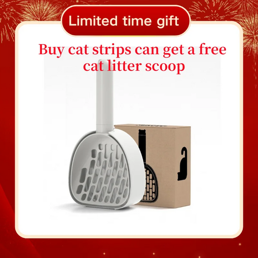 Wet Cat Food Pouches, 15g x 100
