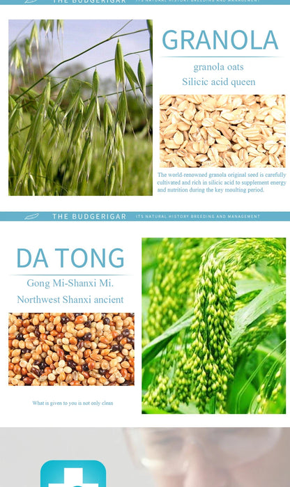 Sunflower and Spelt Parrot Seed Mix