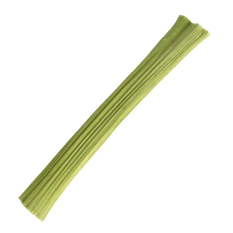 Papaya Chew Sticks for Small Pets, 20g