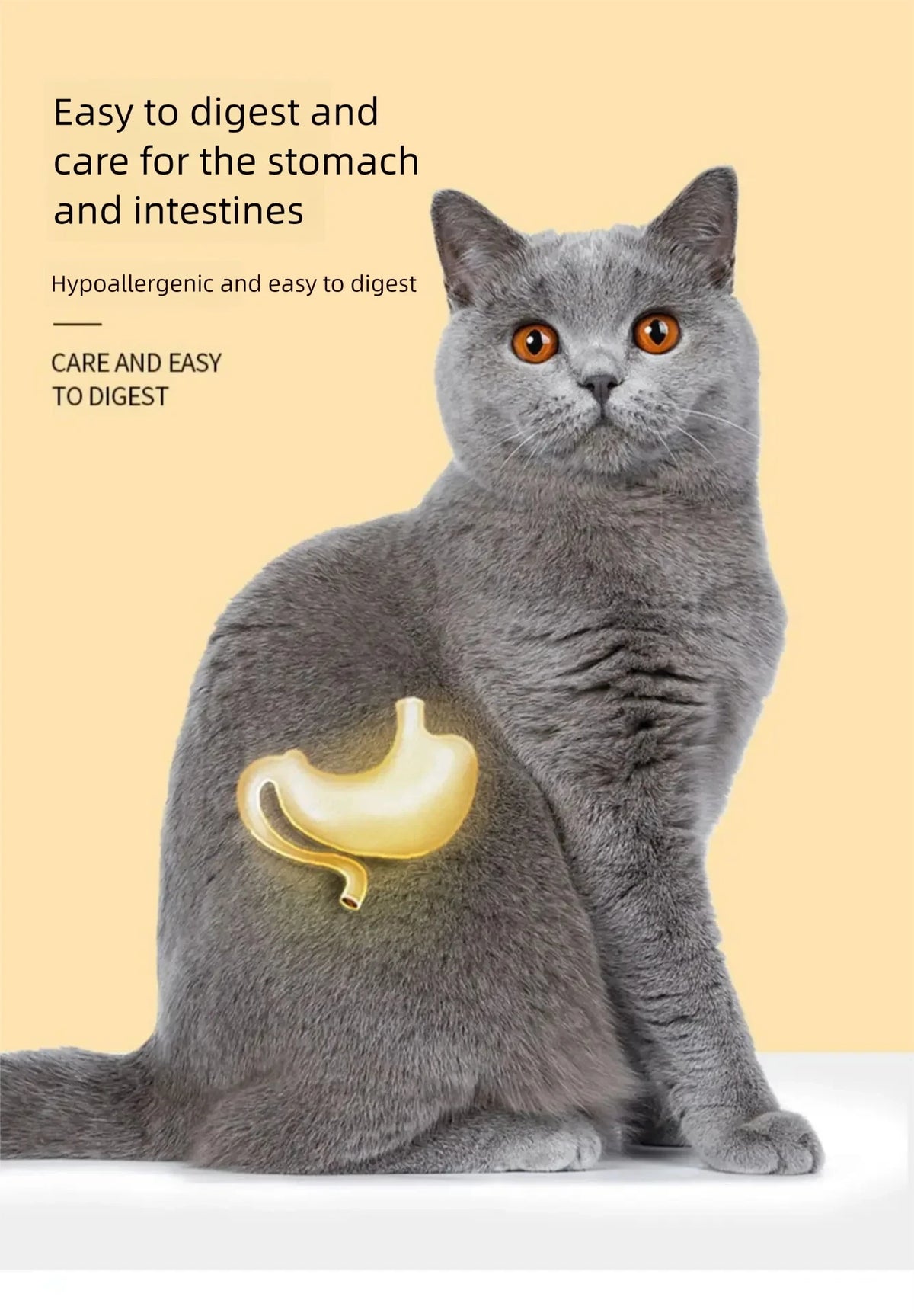 Freeze-Dried Meat and Fish Cat Toppers