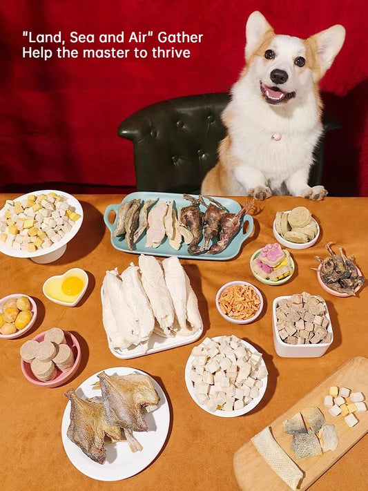 Freeze-Dried Duck Training Bites for Dogs, 500g
