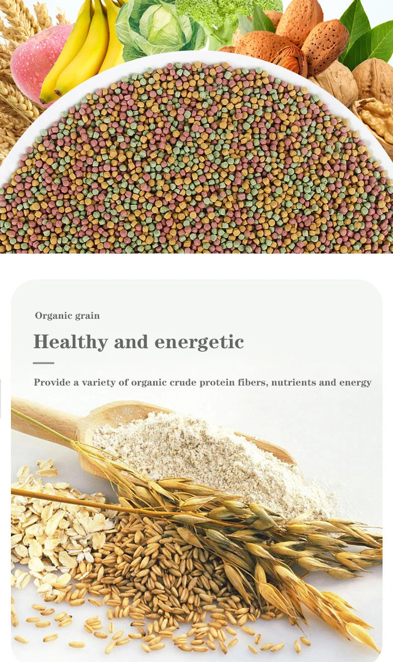 Sunflower and Spelt Parrot Seed Mix